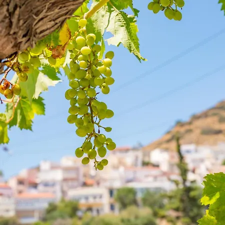 Traditional Aperi With Sea & Valley Views Appartement *