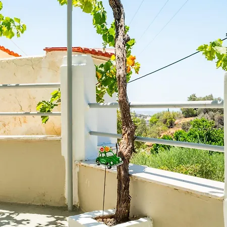 Traditional Aperi With Sea & Valley Views * Karpathos